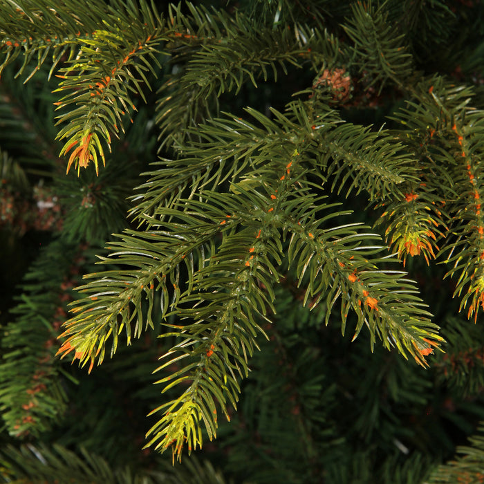 Black Box Frasier Kunstkerstboom H 185 cm