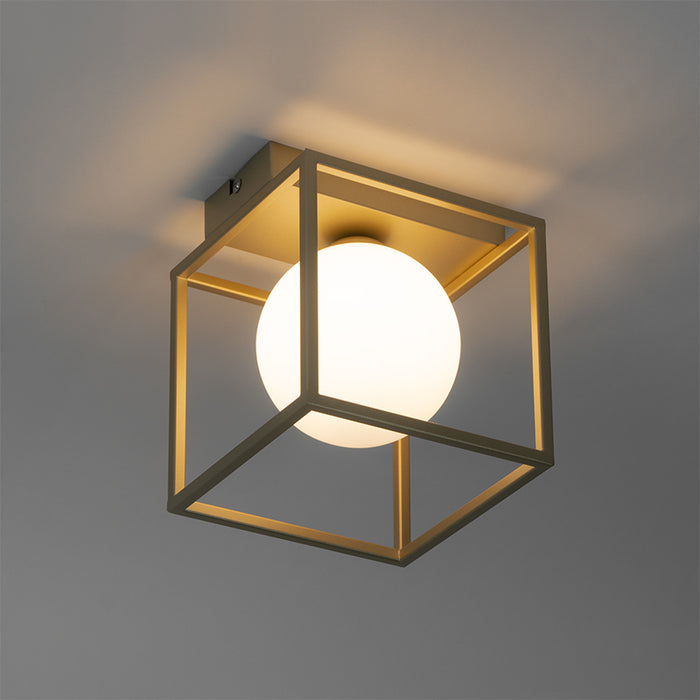 6e8e0f17-1db9-4732-9d68-8dd124f408d5-afbeelding12.jpg (1708751)