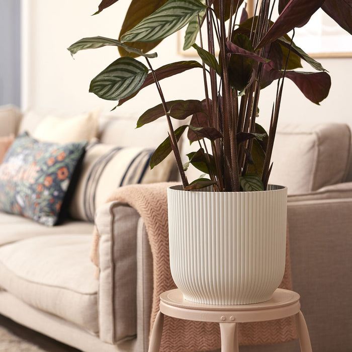 306279-x01.jpg (1713131)