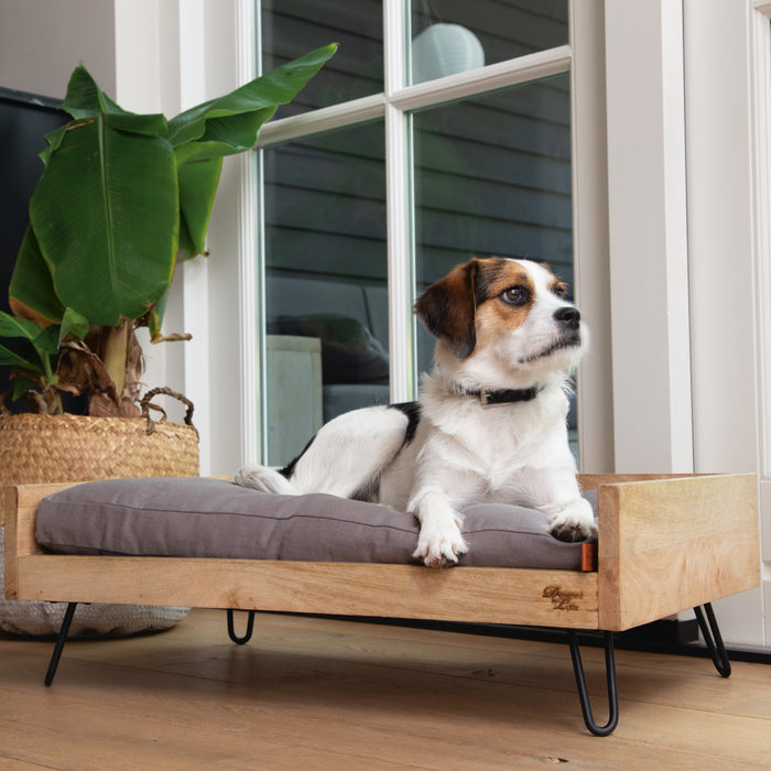 Designed by Lotte Turana Ligmand Hond