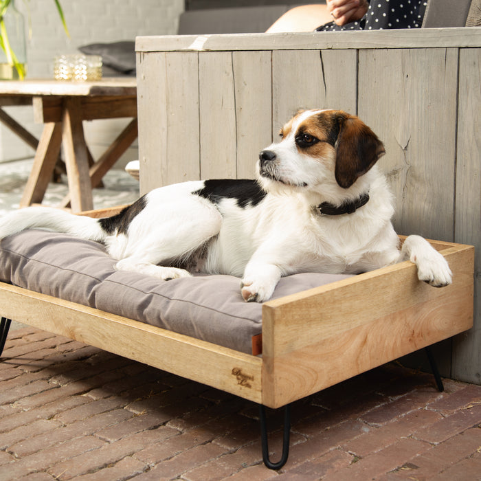 Designed by Lotte Turana Ligmand Hond