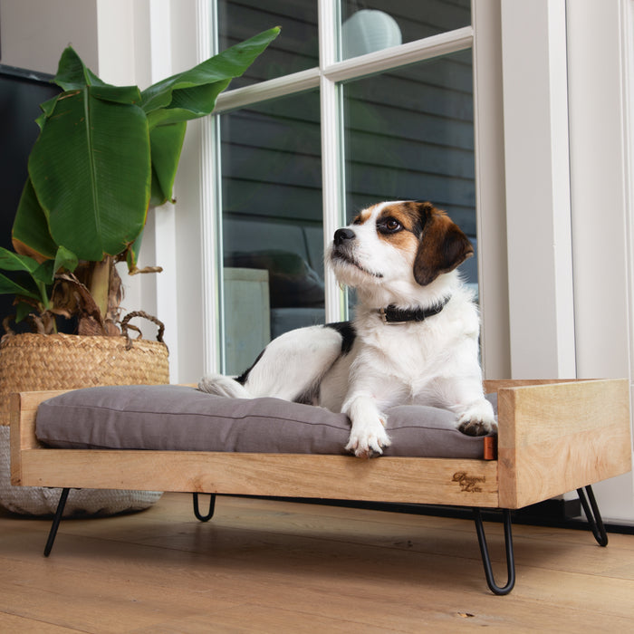 Designed by Lotte Turana Ligmand Hond