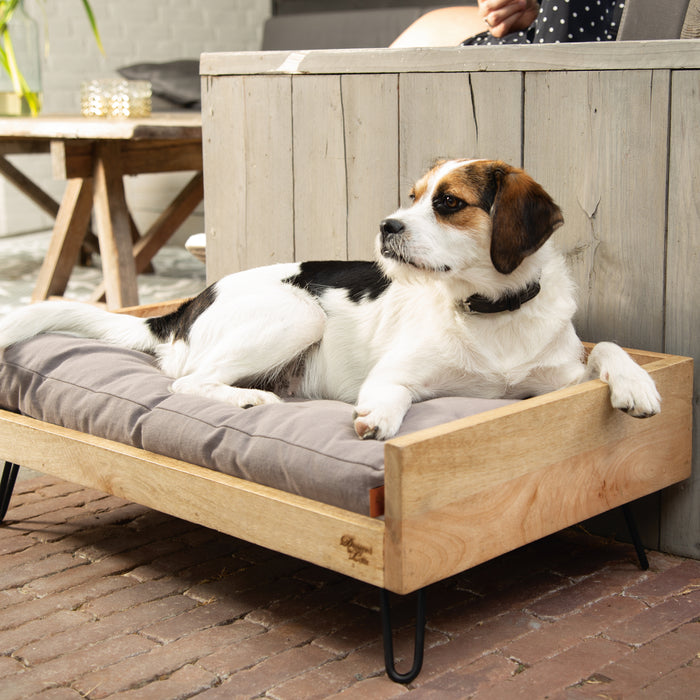 Designed by Lotte Turana Ligmand Hond