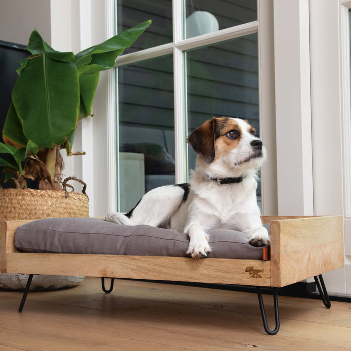 Designed by Lotte Turana Ligmand Hond