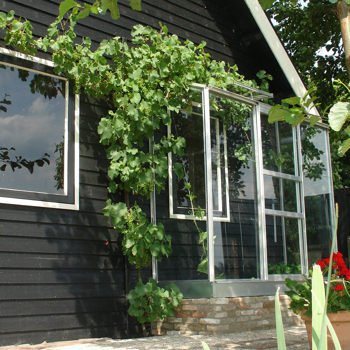 Royal Well Wall Garden 42 Muurkas