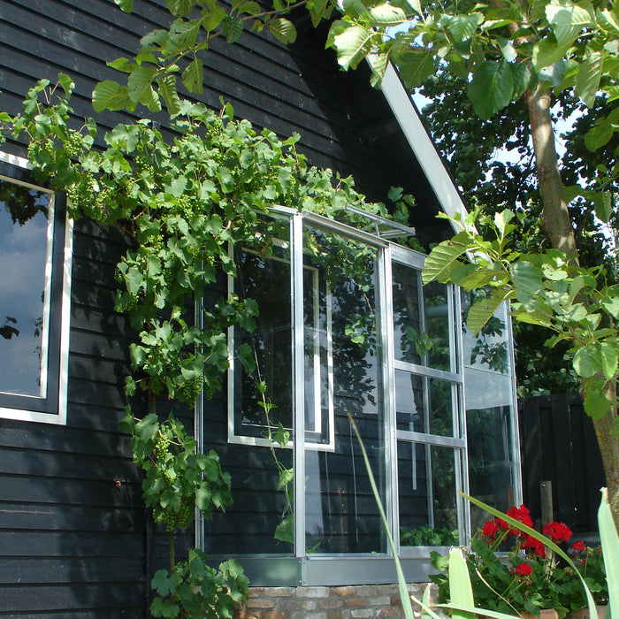 Royal Well Wall Garden 42 Muurkas