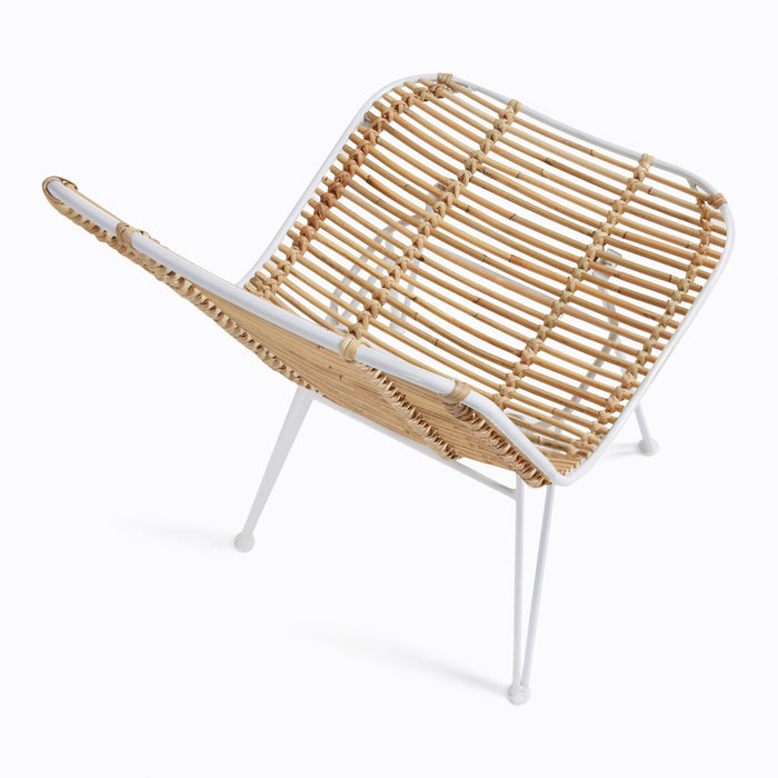 303286-x3.jpg (1727872)