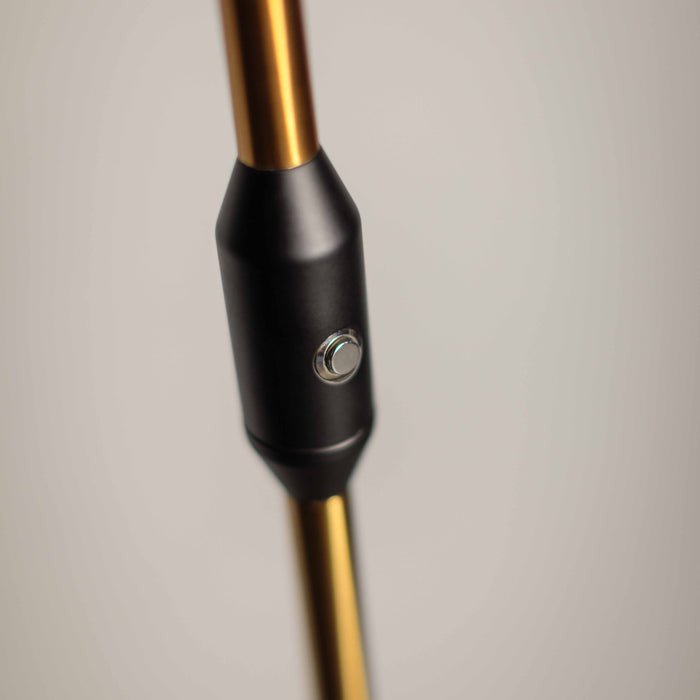 305286-x2.jpg (1727881)