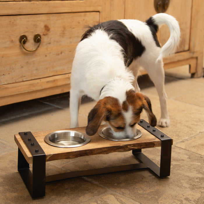 Designed by Lotte Karinto Voerbak Hond