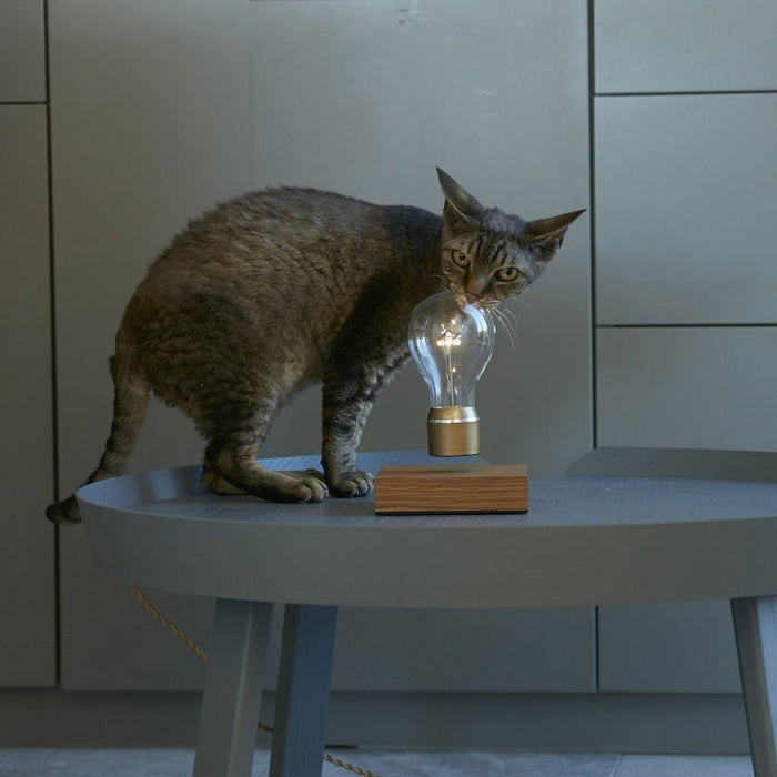 FLYTE Royal Zwevende Tafellamp