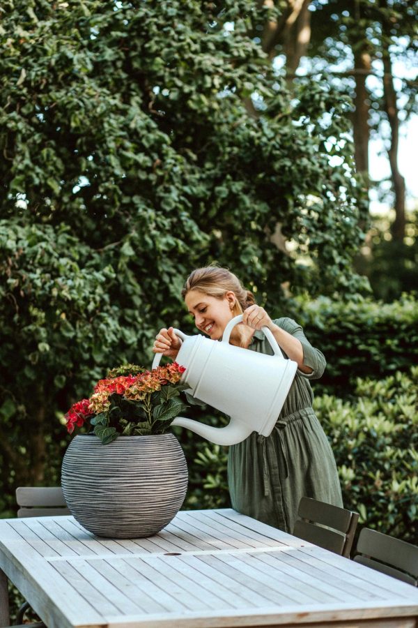 Xala Lungo gieter olijfgrijs