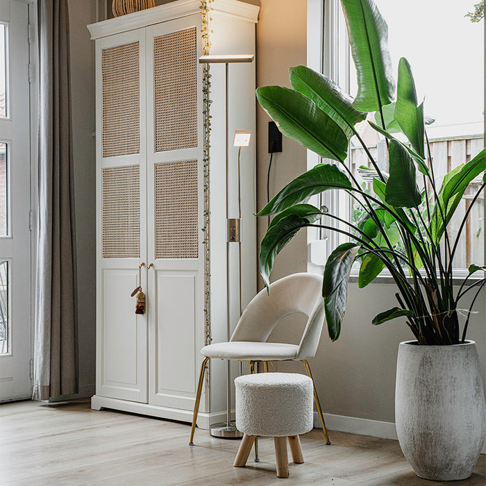 eee52bf9-b46f-4d00-b1fd-a4d1ed8c6549-sfeerbeeld.jpg (1743527)