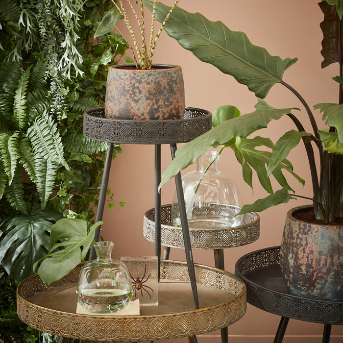 2_080299-x07.jpg (1751405)