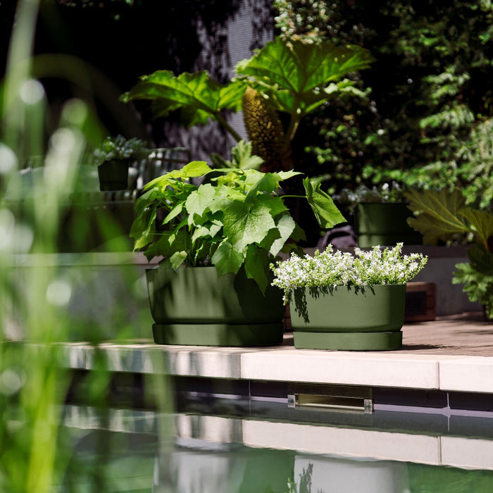 Elho Greenville Bloembak met Wielen 60 cm