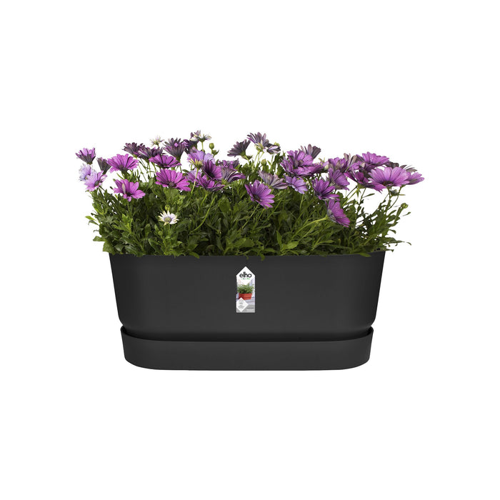 Elho Greenville Bloembak met Wielen 60 cm