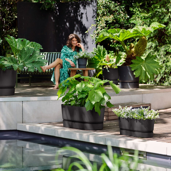 Elho Greenville Bloembak met Wielen 60 cm