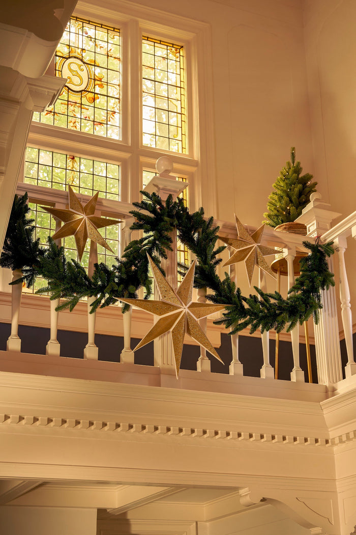 Triumph Tree Abies Nordmann Guirlande - L180 cm - Groen