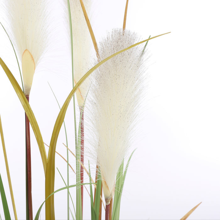 28e08fa3-ebca-42e4-9381-42c06989875e-afbeelding3.jpg (1769940)