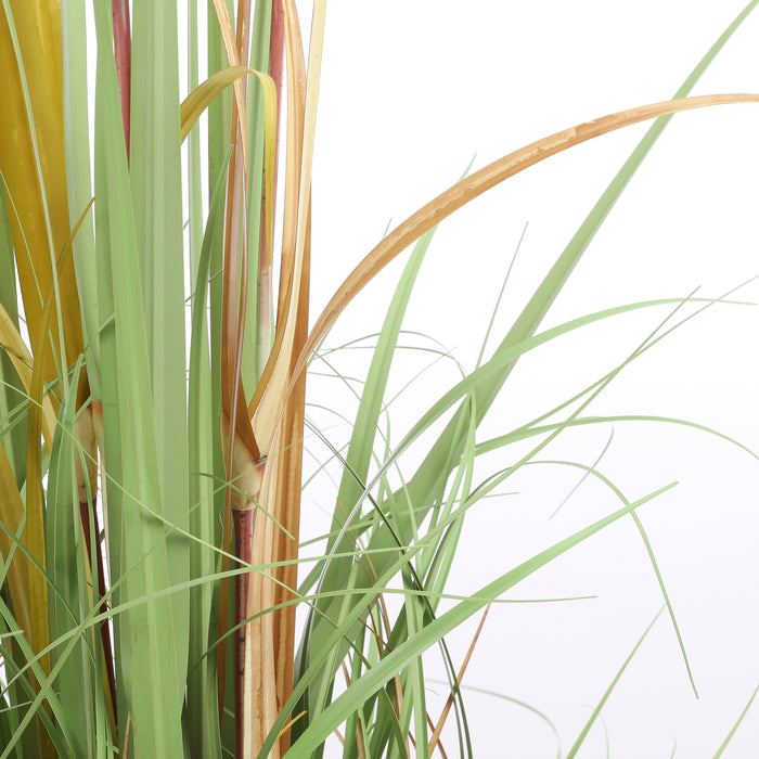 28e08fa3-ebca-42e4-9381-42c06989875e-afbeelding5.jpg (1769942)