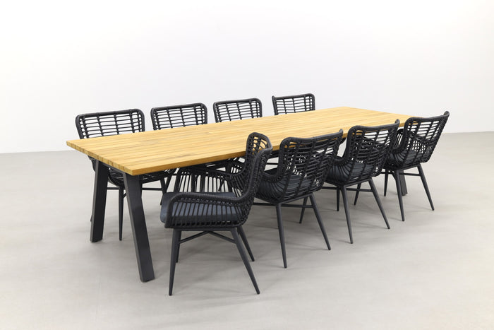 VDG Jasmine black|Ambassador 300x100 cm. tuinset - 9 delig