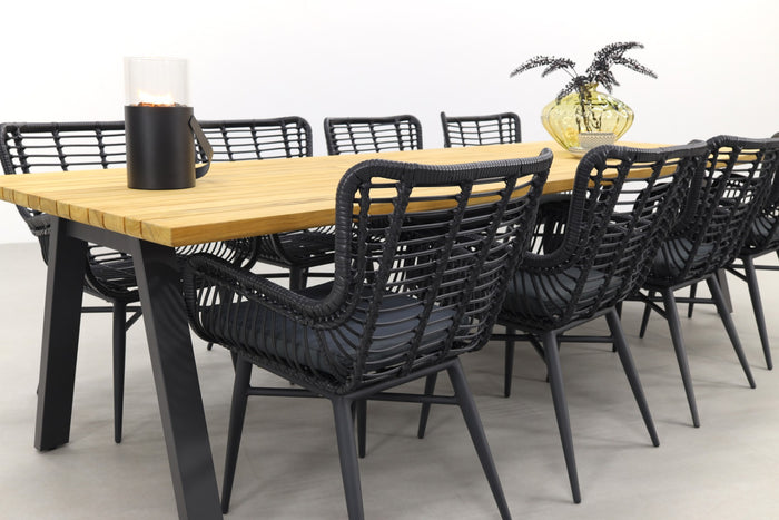 VDG Jasmine black|Ambassador 300x100 cm. tuinset - 9 delig