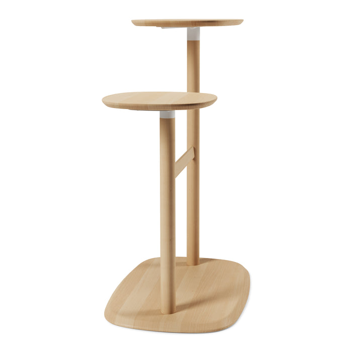 295314-x6.jpg (1782360)