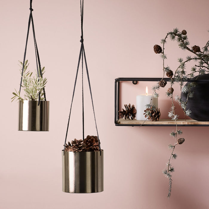 222316-x4.jpg (1786645)