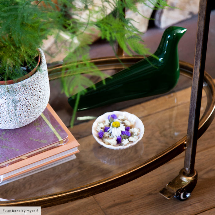 215317-x10.jpg (1788862)