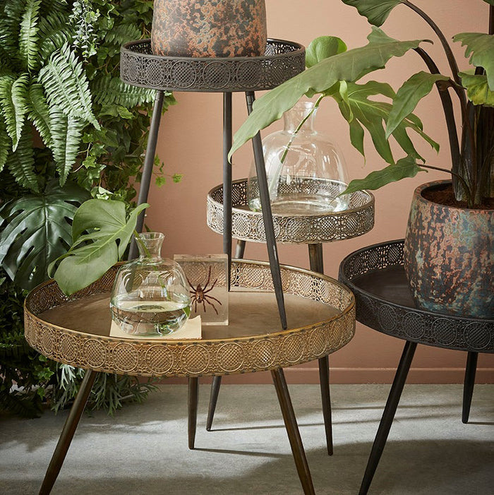 227318-x1.jpg (1791044)