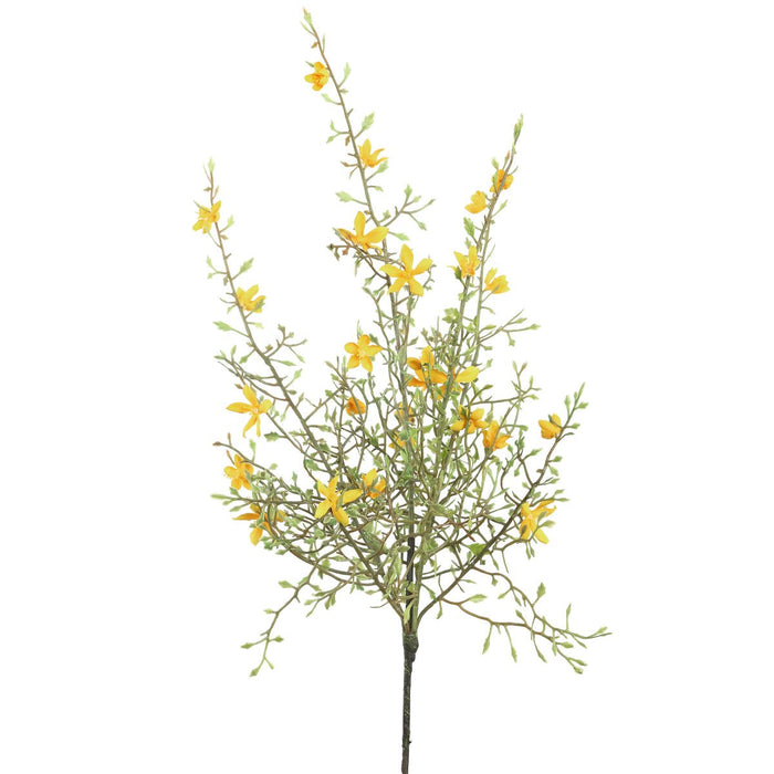 d3374750-0595-4b50-8097-a6de31f4fb73-afbeelding5.jpg (1811084)