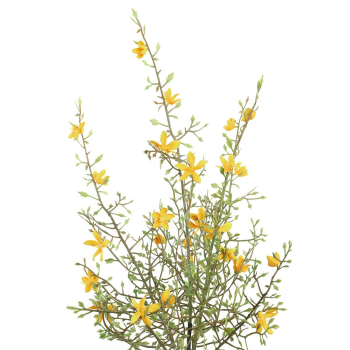 d3374750-0595-4b50-8097-a6de31f4fb73-afbeelding6.jpg (1811085)