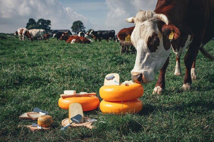 Kaasmessen set Delfts Blauw - Boska