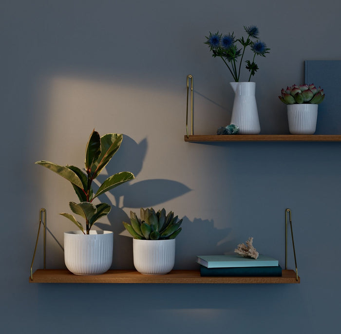 5a3ea267-5940-464d-8659-c84904606155-sfeerbeeld.jpg (1841524)