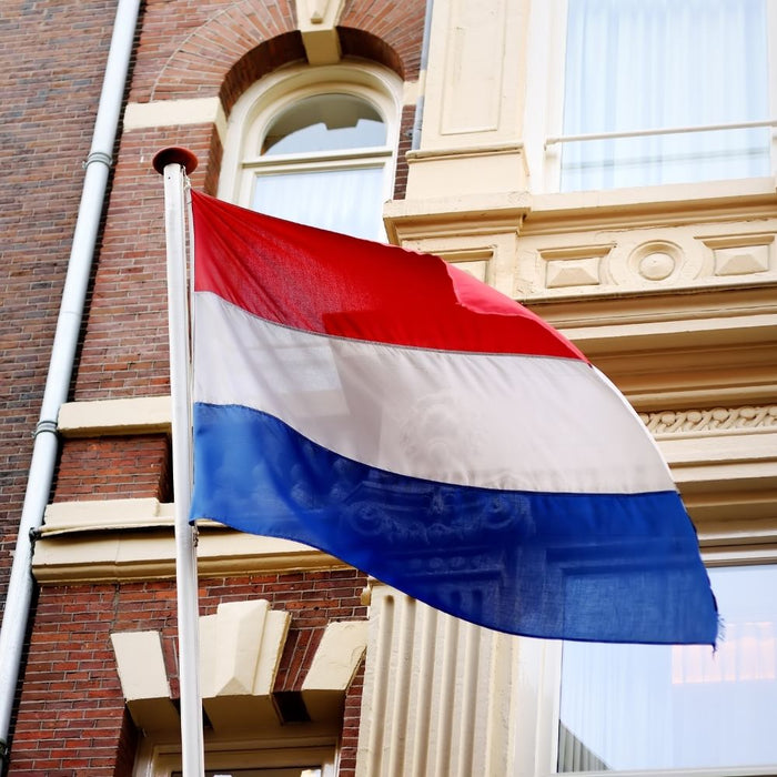 Orange85 Vlaggenstokhouder Drievoudige Vlag Staal met Toebehoren