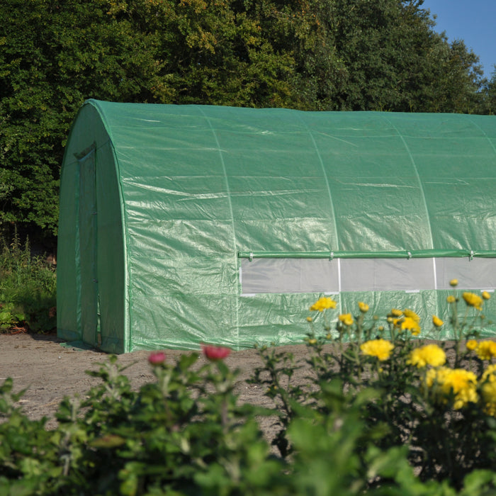 Royal Well Silver Rocket D24 Folietunnel