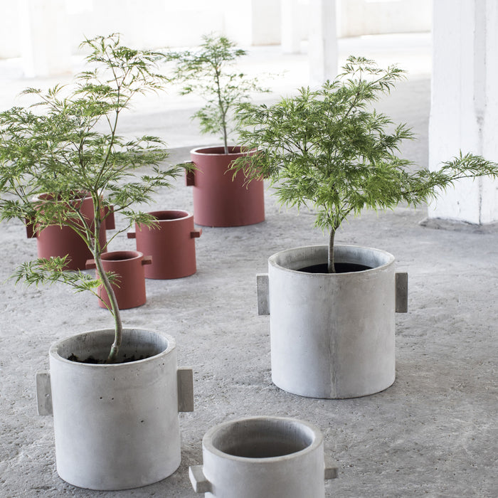 244352-x1.jpg (1890475)