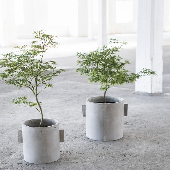 244352-x2.jpg (1890479)