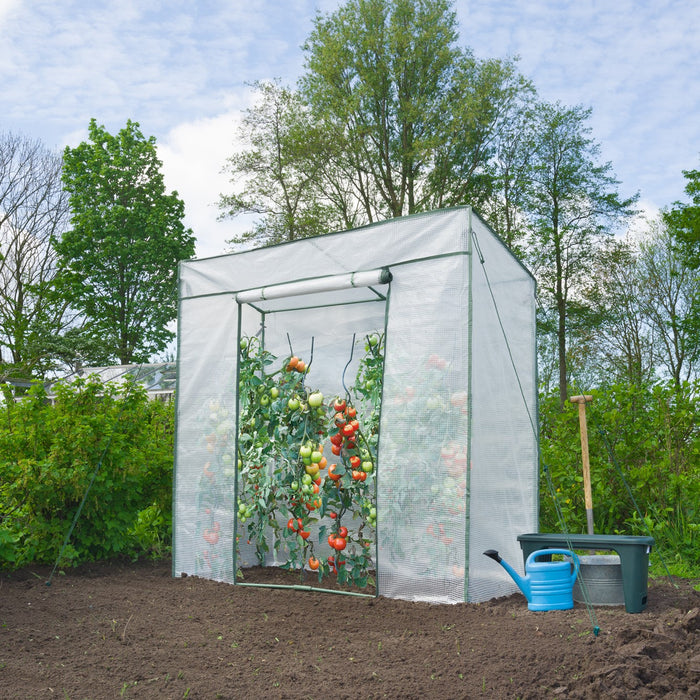 Nature Kweekkas Tomaten