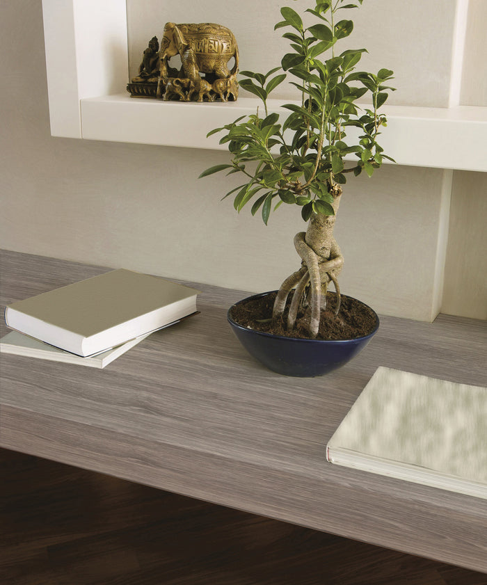 d-c-fix Plakfolie - 45x200cm - Grijs - Hout - Zelfklevend