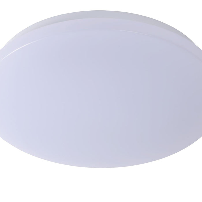 282fa9ce-f97c-42f0-915c-c0d0f7b0b0da-afbeelding3.jpg (2057538)