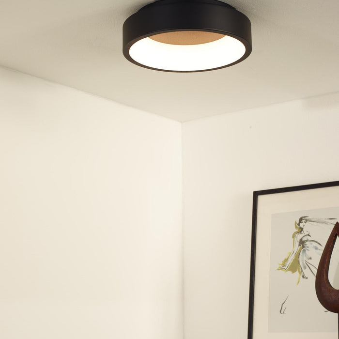 d7e908d0-594e-445e-ad87-2b0ab8dab683-afbeelding4.jpg (2064799)