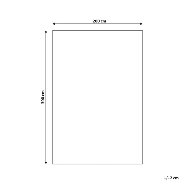 Beliani-DEMRE -Shaggy vloerkleed-Zwart-200 x 300 cm-Polyester