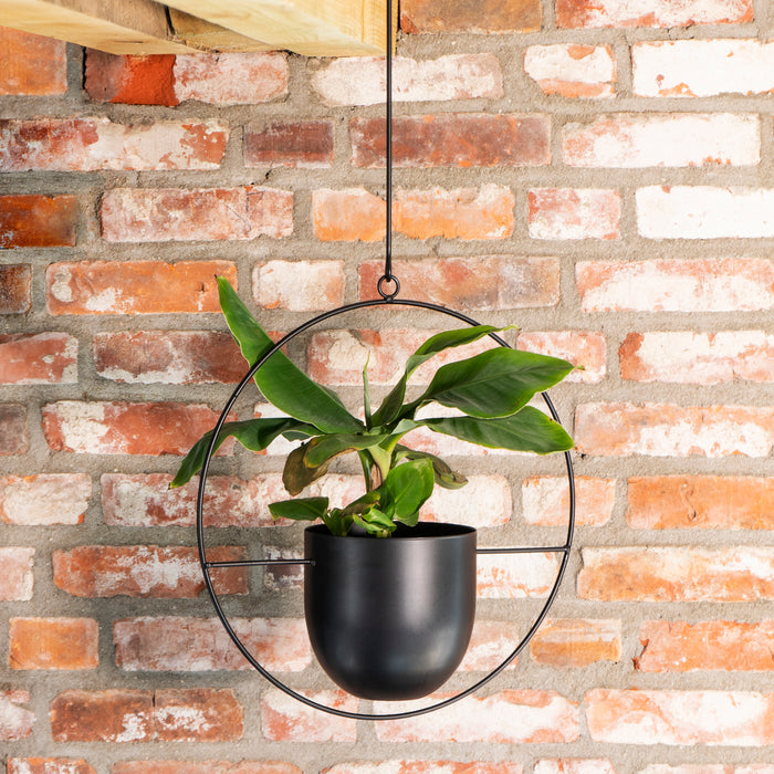 e6d8403b-7c5f-41d6-8a4d-b5ba99486030-afbeelding6.jpg (2085067)