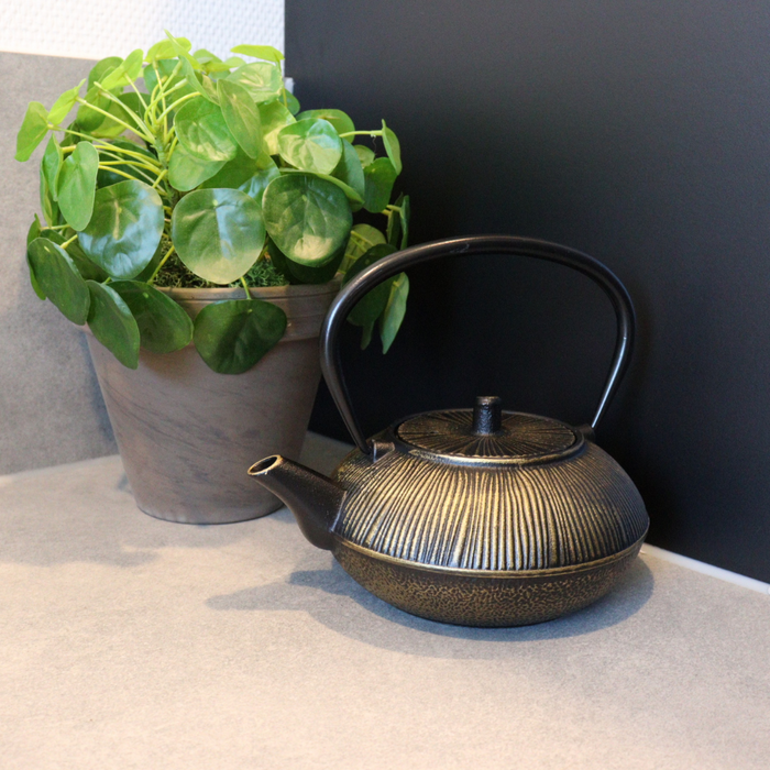 Orange85 Gietijzeren Japanse Theepot 0.8l Zwart met Goud