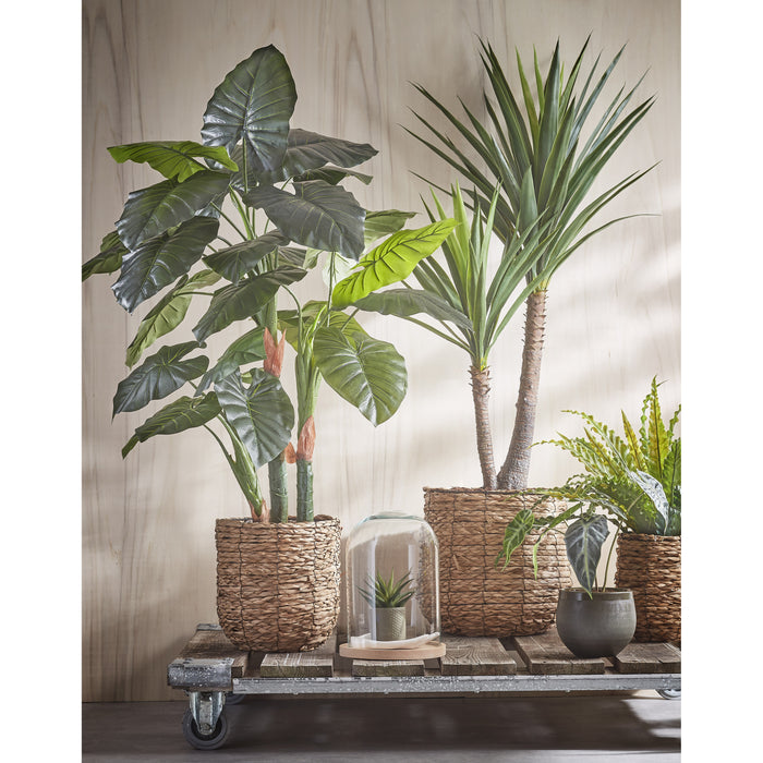 2a5de2d2-8c1c-4d23-859f-f727d98bdf2e-sfeerbeeld.jpg (2112106)