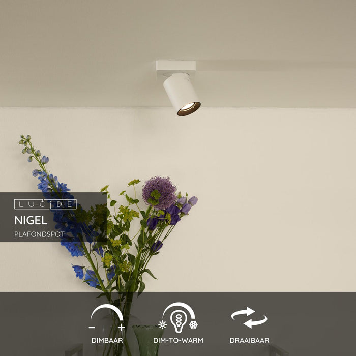 86e0d250-9637-46fd-984a-f8ac33a8970f-sfeerbeeld.jpg (2129422)