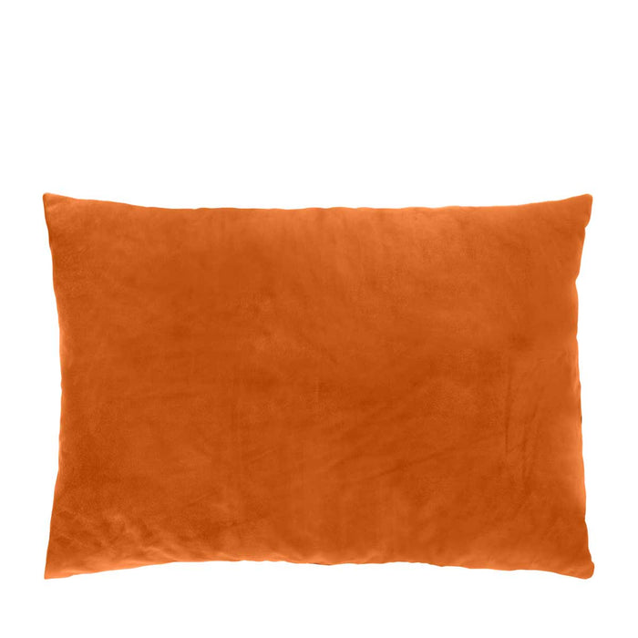 d5649995-33f6-4aa3-a51f-f82422770c67-afbeelding12.jpg (2149697)