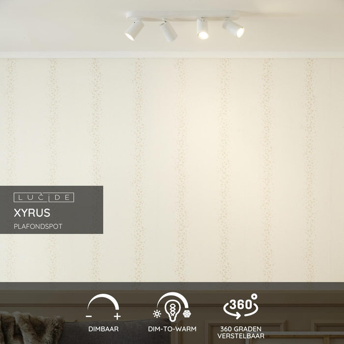 637d25c2-b9df-400f-a4e6-193b84520a1c-sfeerbeeld.jpg (2151620)