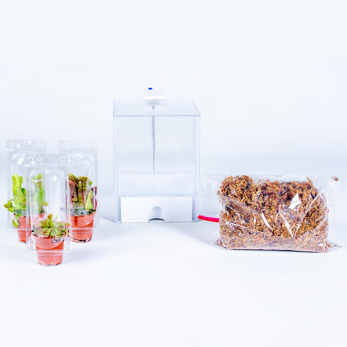 Bloomique - Plantenterrarium Bye Bye Fly – Vleesetende planten – ↕23