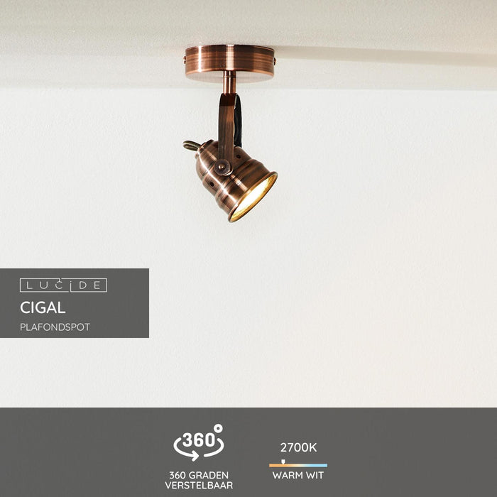 c574c37c-42f0-4f97-8a53-090057aa31ad-sfeerbeeld.jpg (2175932)